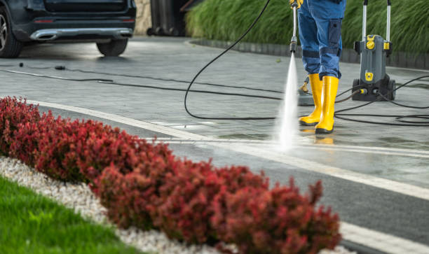 Animal Enclosure Cleaning in Bloomington, CA